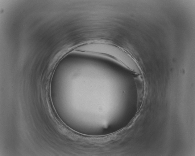 X0000084600001200703091941