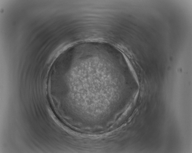 X0000084600002200703091941