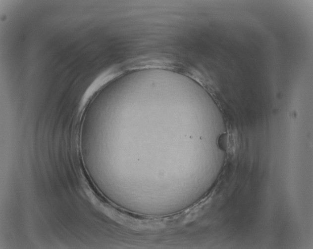 X0000084600004200703091941