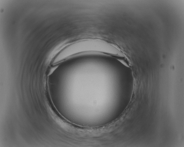 X0000084600005200703091941