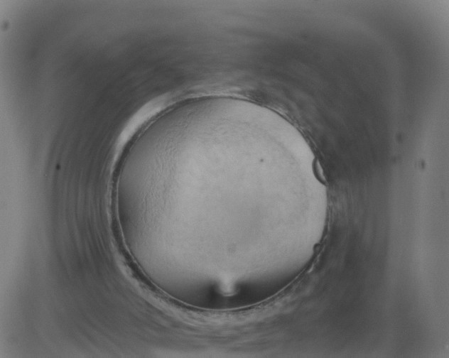 X0000084600006200703091941