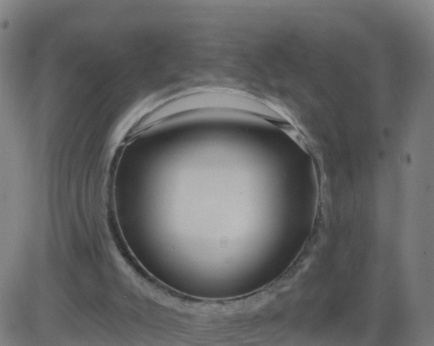 X0000084600007200703091941