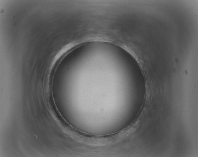 X0000084600008200703091941