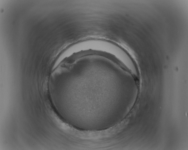 X0000084600009200703091941