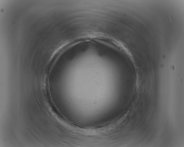 X0000084600010200703091940