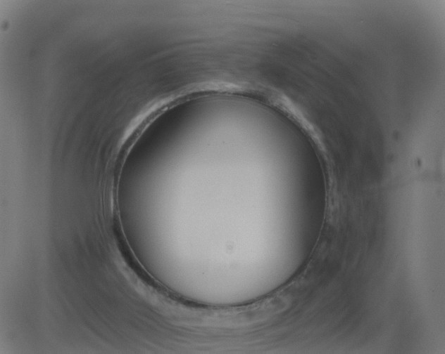 X0000084600011200703091940