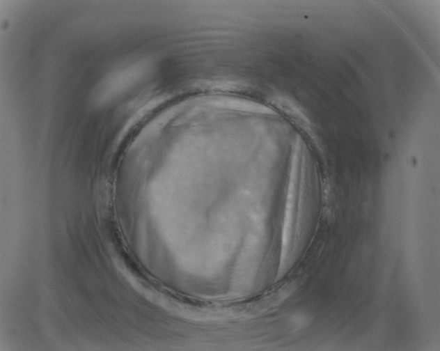 X0000084600012200703091940