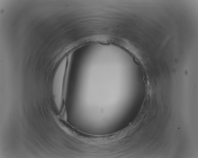 X0000084600013200703091940