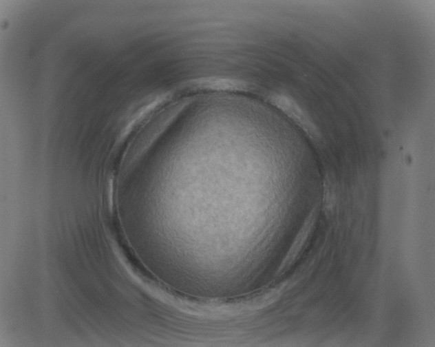 X0000084600014200703091940