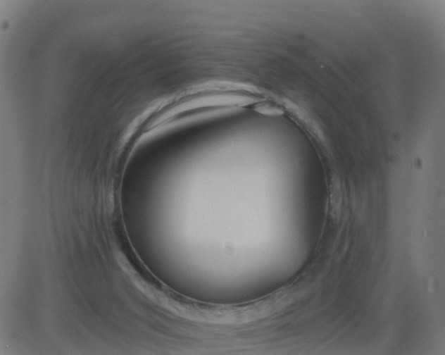 X0000084600015200703091940