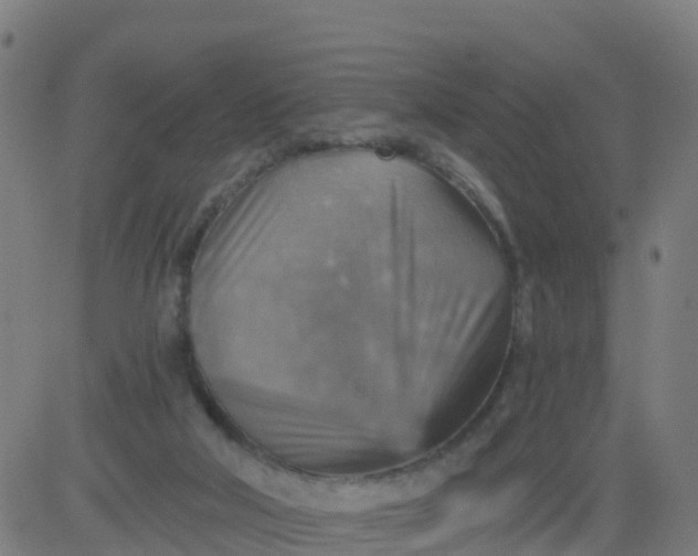 X0000084600018200703091940