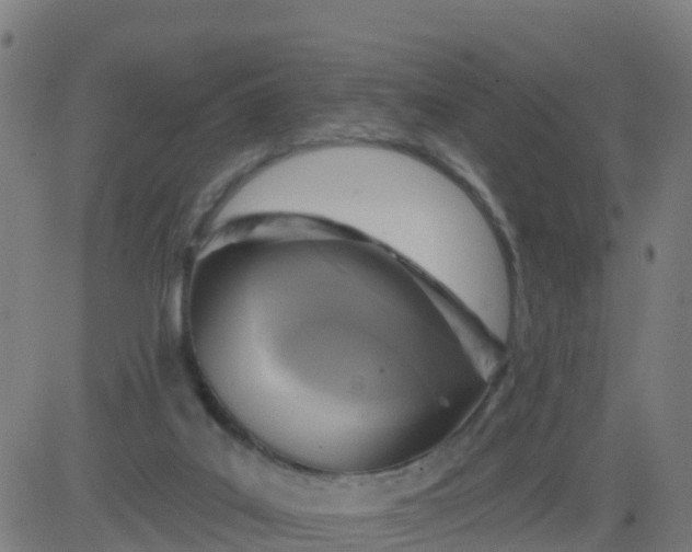 X0000084600019200703091940