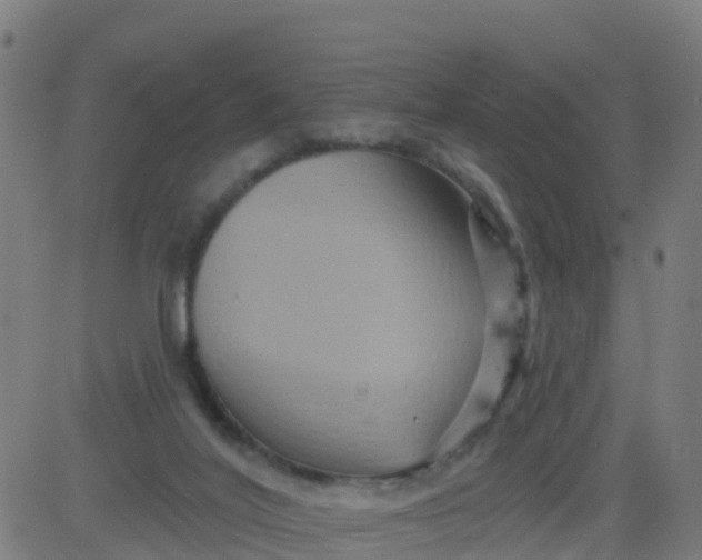 X0000084600020200703091940