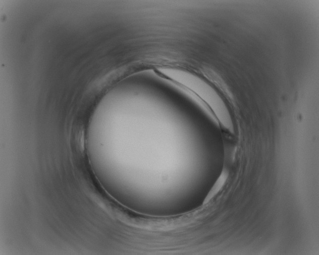 X0000084600021200703091940