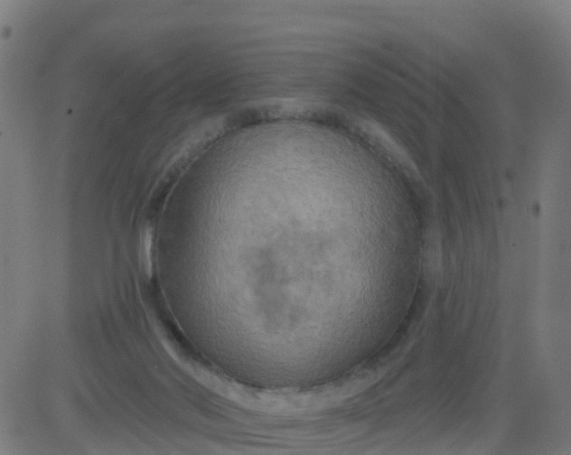 X0000084600022200703091940