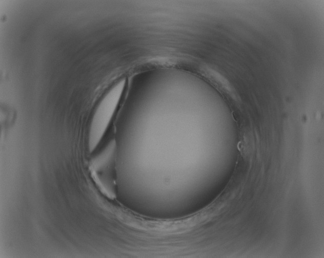 X0000084600023200703091940