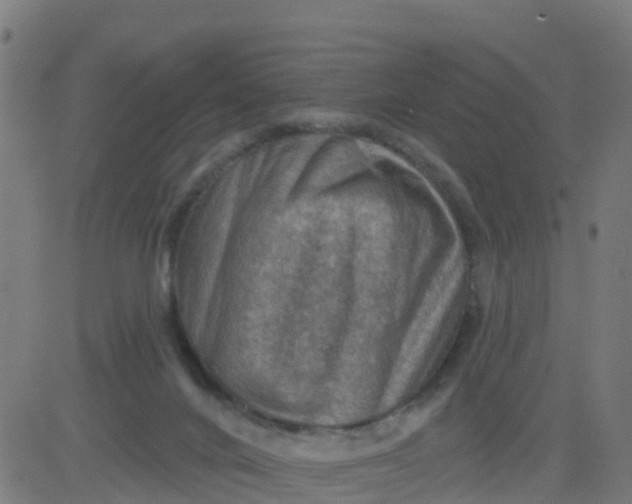 X0000084600024200703091940