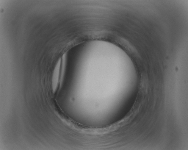 X0000084600025200703091940