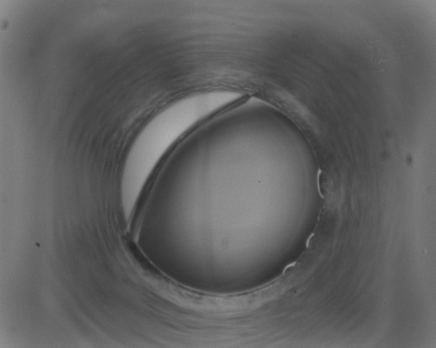 X0000084600027200703091940