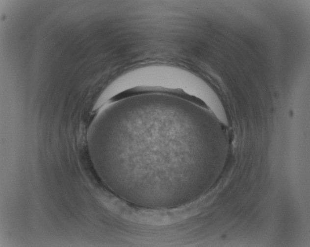 X0000084600029200703091940