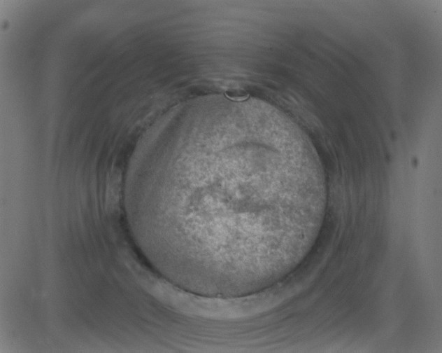 X0000084600030200703091940