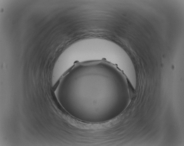 X0000084600031200703091940