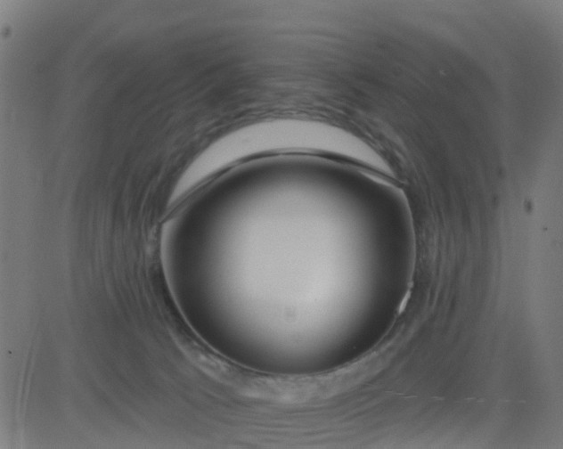 X0000084600033200703091940