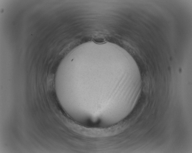 X0000084600034200703091940