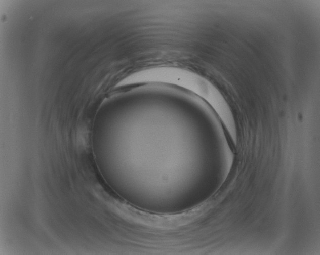 X0000084600035200703091940