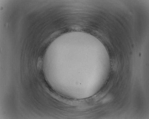 X0000084600036200703091940