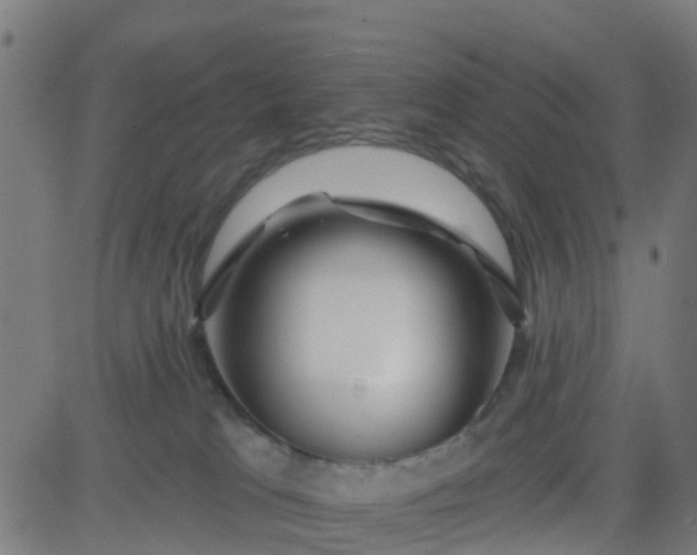 X0000084600037200703091940