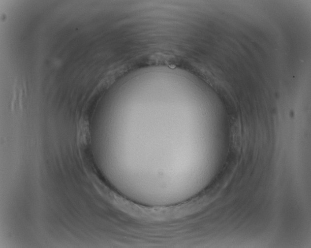 X0000084600038200703091940