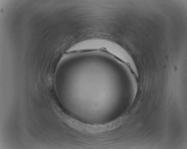 X0000084600039200703091940