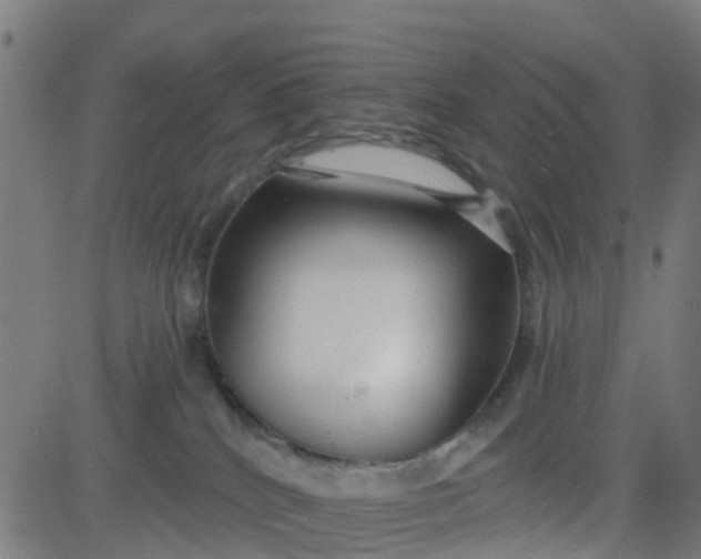 X0000084600040200703091940