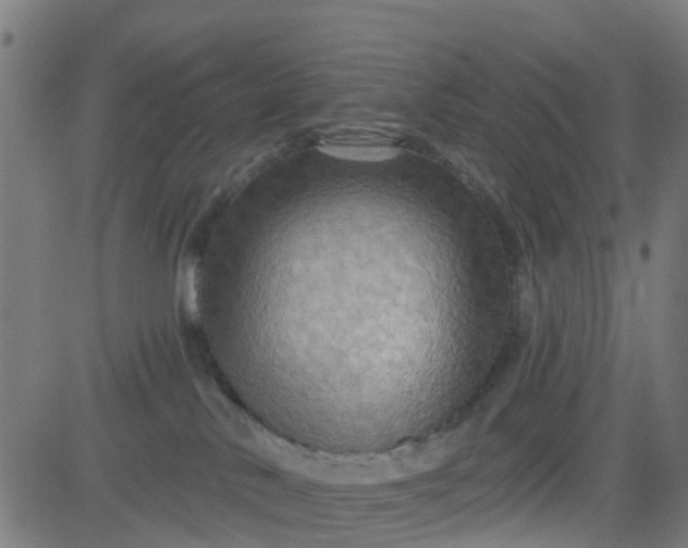 X0000084600042200703091940