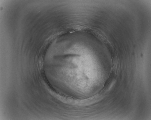 X0000084600043200703091940