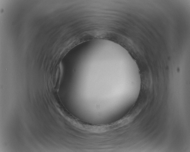 X0000084600044200703091940