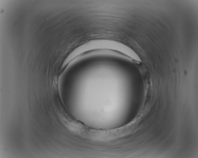 X0000084600045200703091940