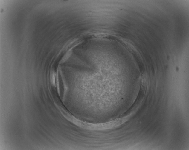 X0000084600046200703091940