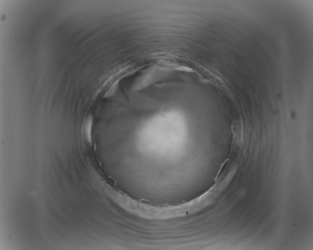 X0000084600047200703091940