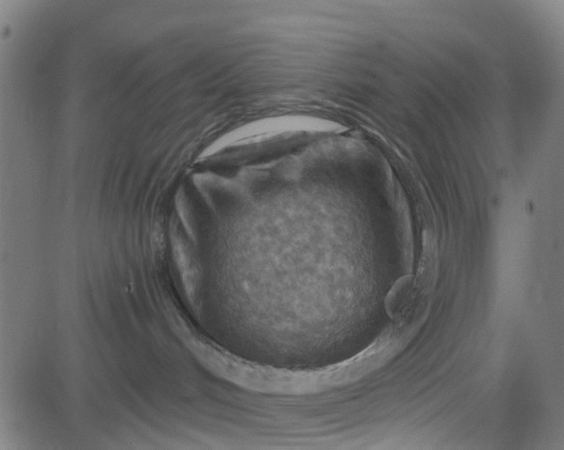 X0000084600048200703091940