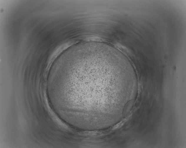 X0000084600049200703091939