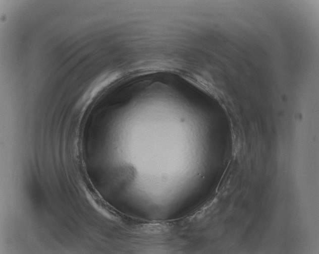 X0000084600050200703091939