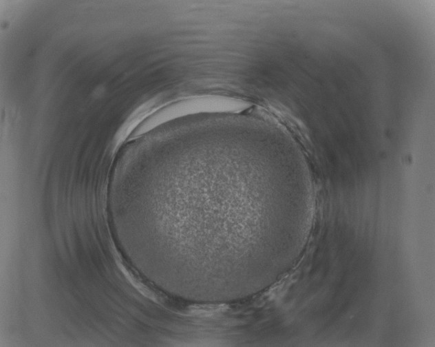 X0000084600051200703091939