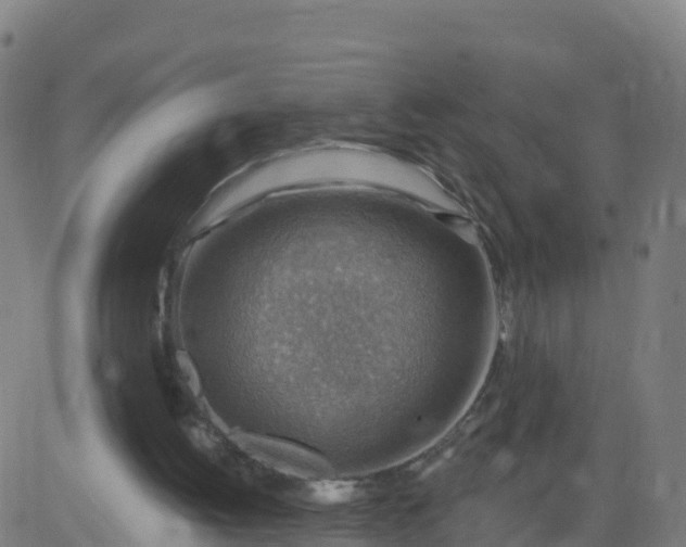 X0000084600052200703091939