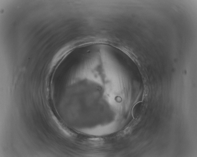 X0000084600053200703091939