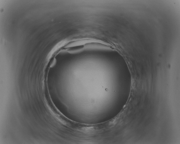 X0000084600054200703091939