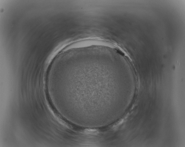 X0000084600055200703091939