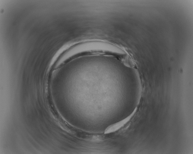 X0000084600056200703091939