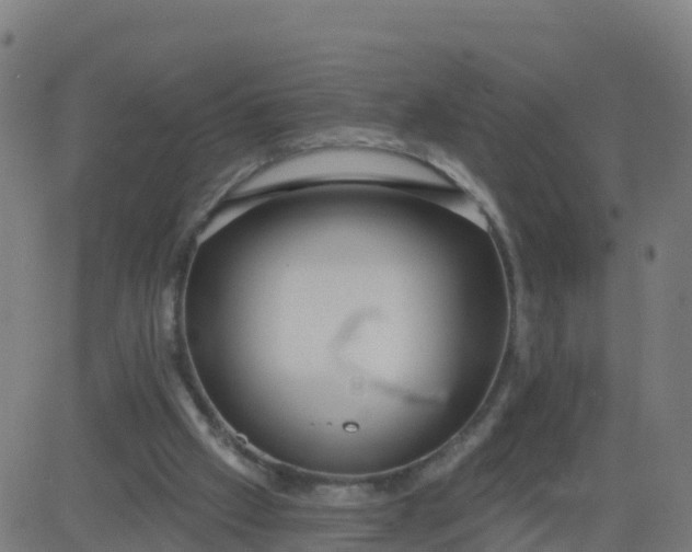 X0000084600057200703091939